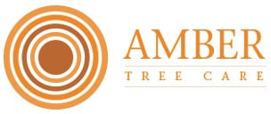 Amber Tree Care
